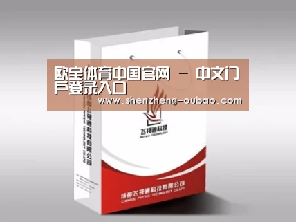 项目名称十三